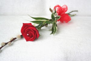 Single rose 2