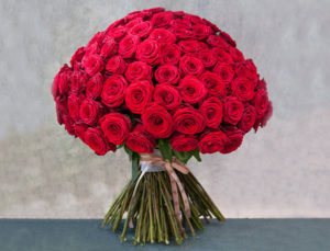 dramatic 100 red roses