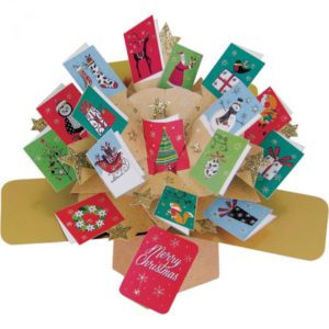 christmas-card-bonanza-pop-up-card-envelope