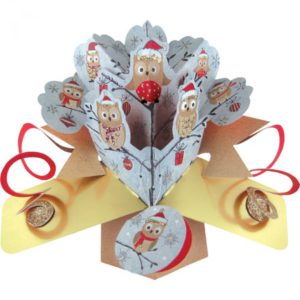 christmas-owls-pop-up-card-envelope